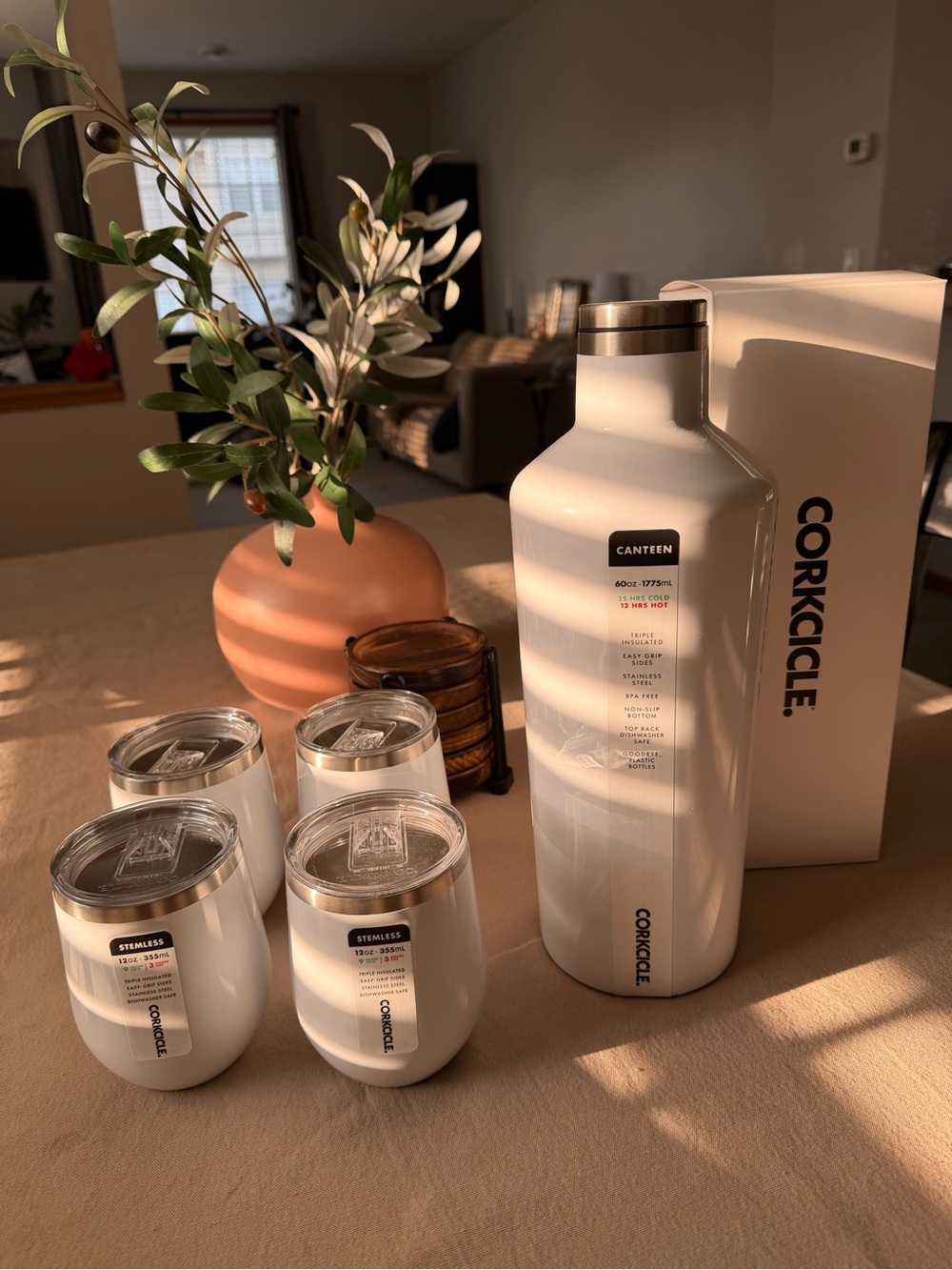 Corkcicle White Canteen and 4 White Stemless Tumblers Set